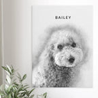 Sketch-style canvas portrait of a curly white dog named Bailey, hung on a wall beside a green plant
