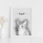 Sketch-style portrait of a kitten named August in a white frame, beside a white vase of dried flowers