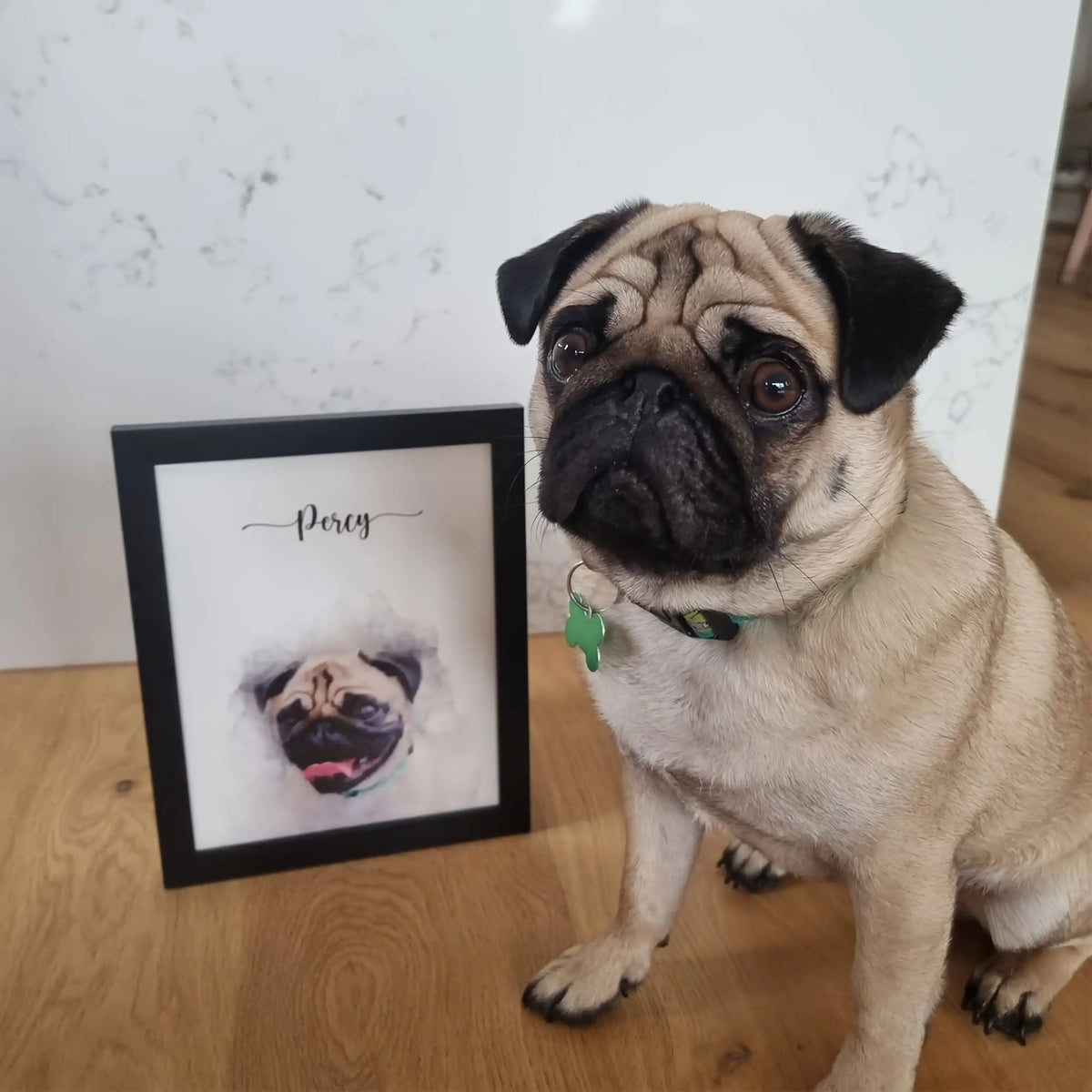 A pug sits beside a black-framed watercolor-style pet portrait of a pug named 'Percy'
